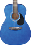 Jay Turser JJ43 Guitar