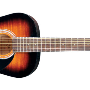Jay Turser JJ43F Guitar