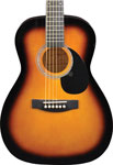Jay Turser JJ43-PAK Guitar