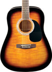 Jay Turser JJ45F Guitar